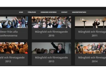 2010 Mångafald och företagande