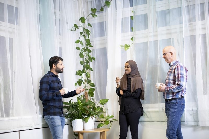 Tre personer står och samtalar framför ett stort fönsterparti och många växter.